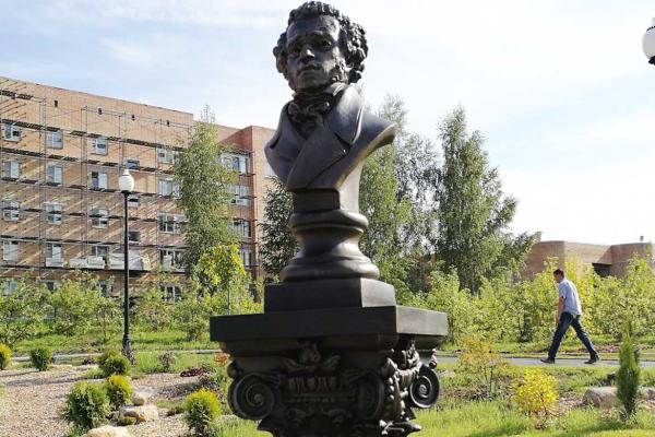 Bust of A.S. Pushkin